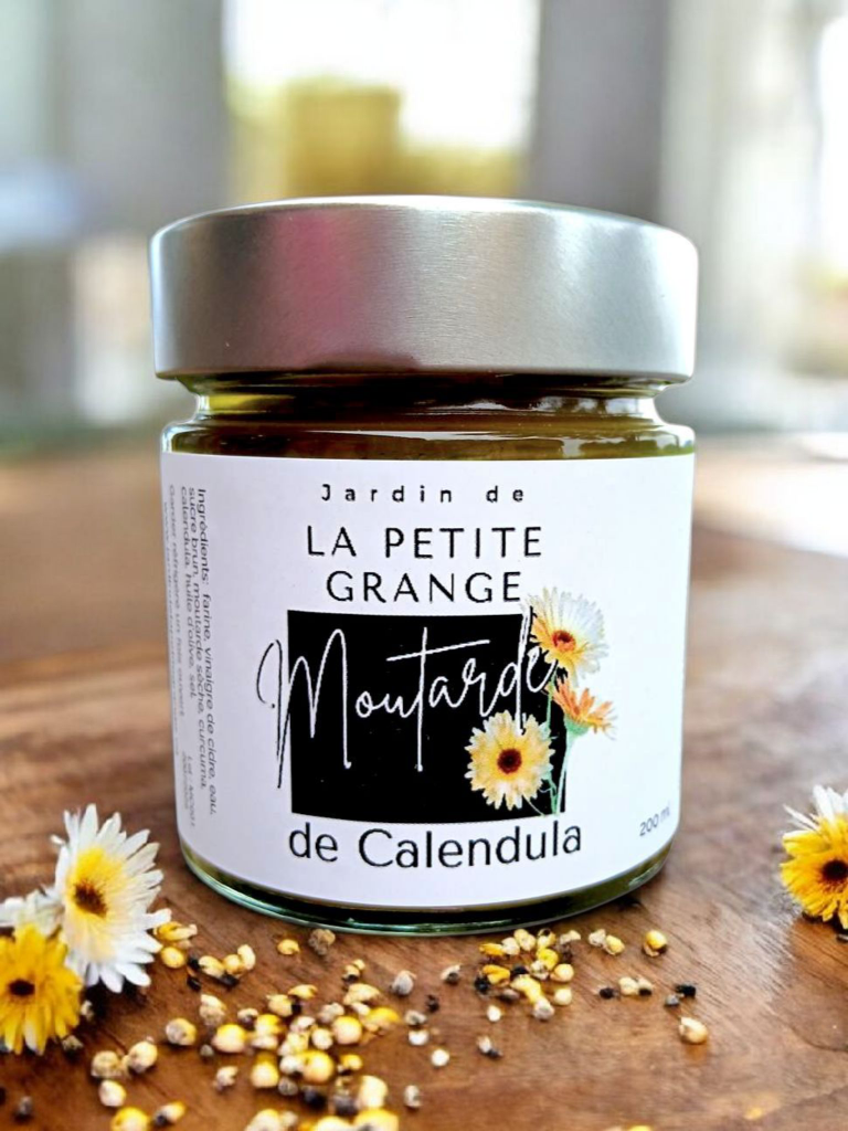 IMG_1795866183833766925 (1) (2)