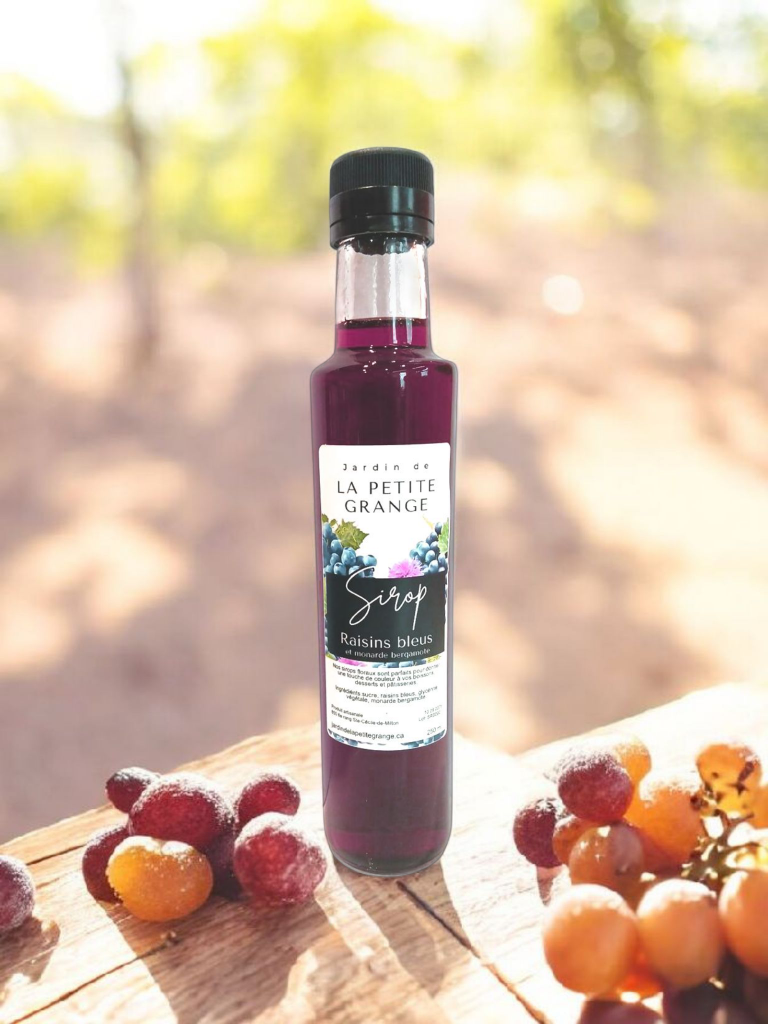 IMG_2383111761903791803 (2)