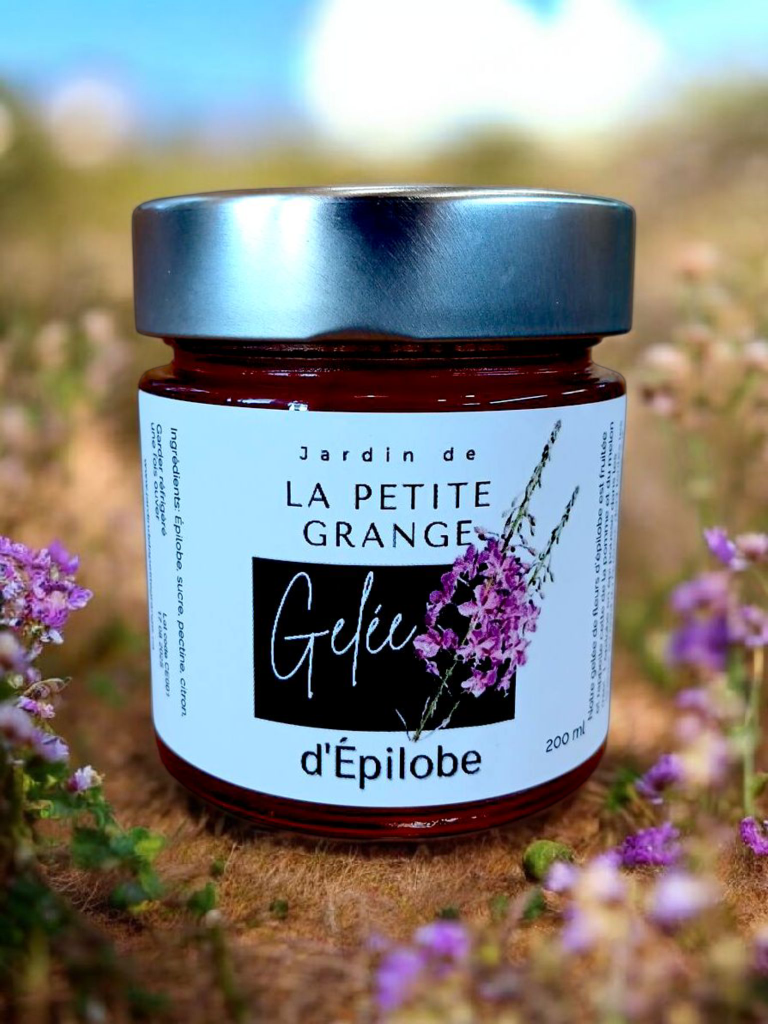 IMG_6976240263738663086 (3)