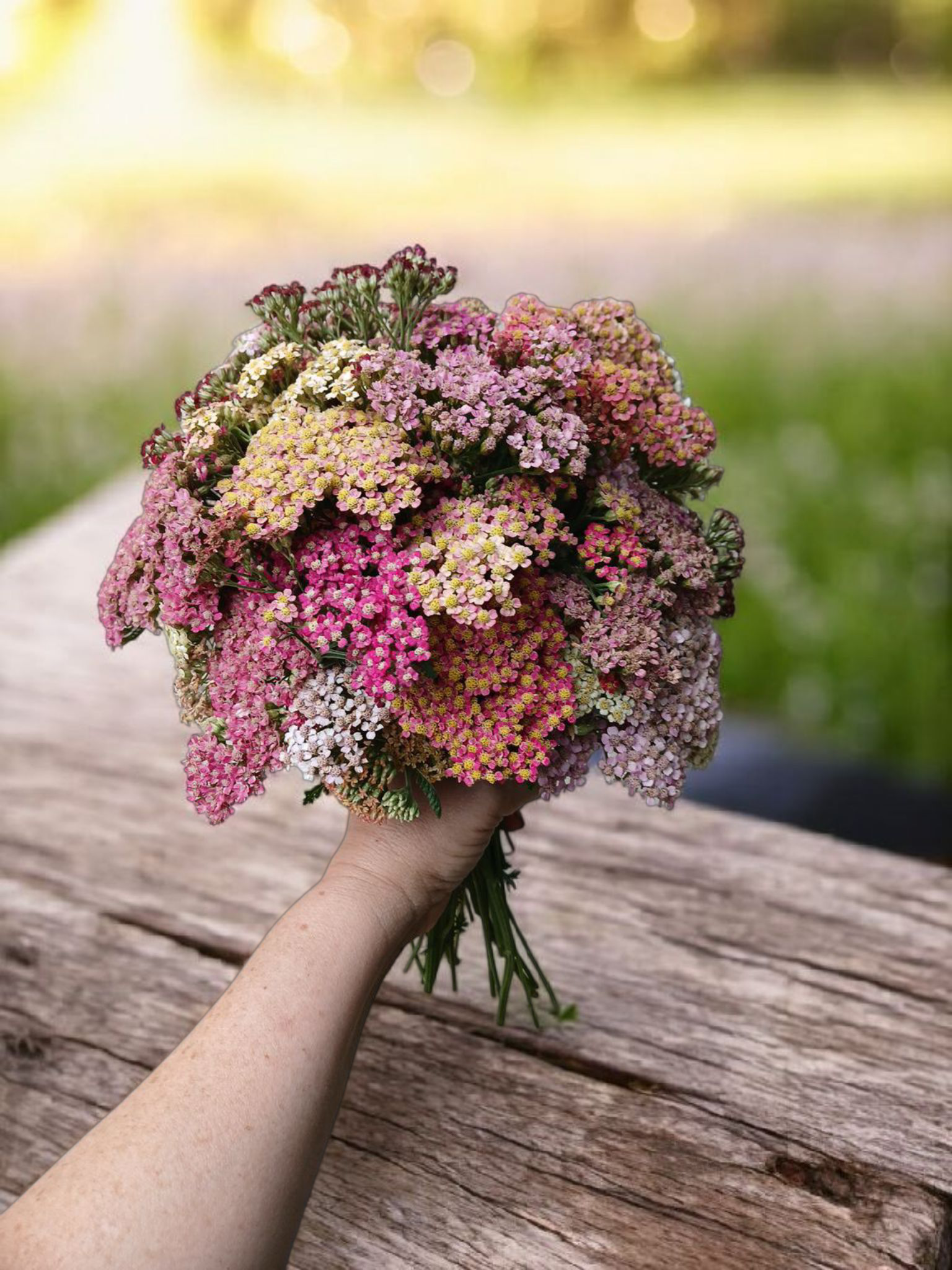 IMG_62710422643342748 (2)