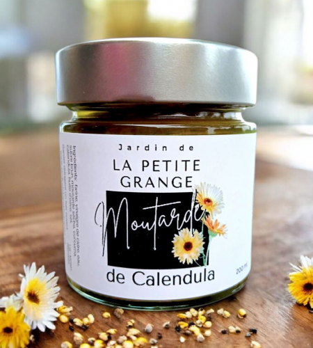 IMG_1795866183833766925 (1) (2)